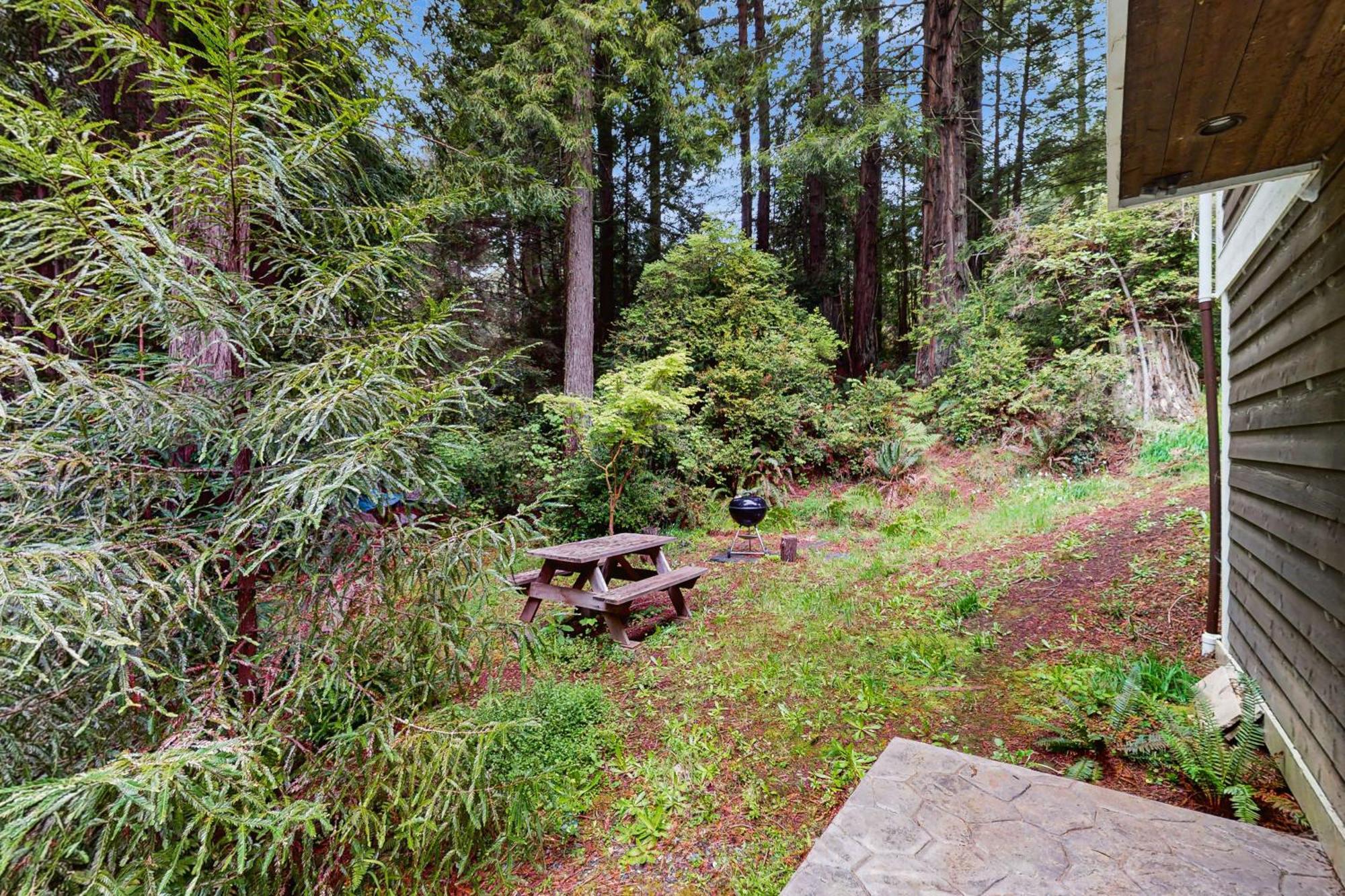 Serene Redwood Retreat Arcata Extérieur photo