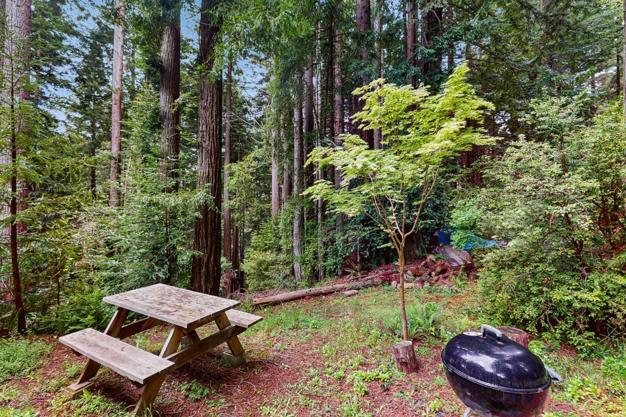 Serene Redwood Retreat Arcata Extérieur photo