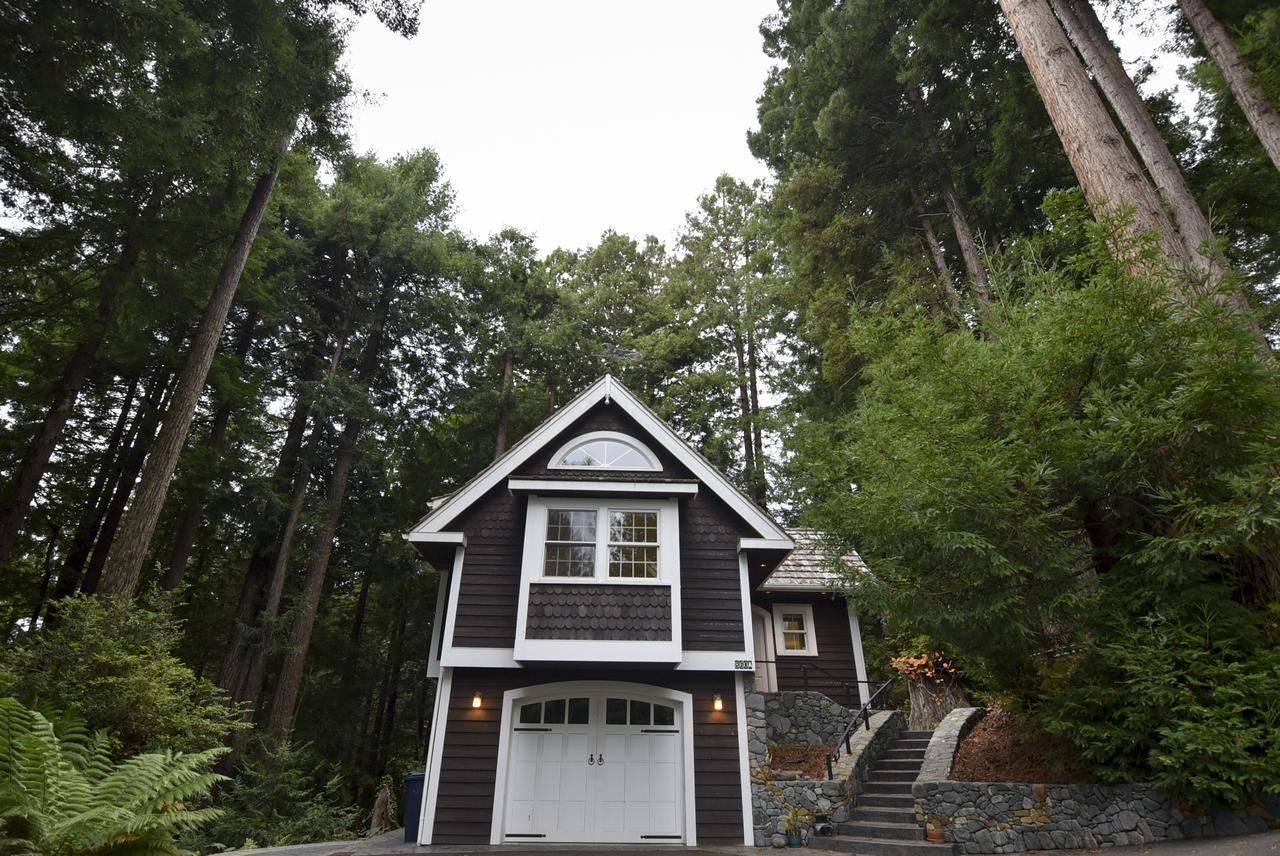 Serene Redwood Retreat Arcata Extérieur photo