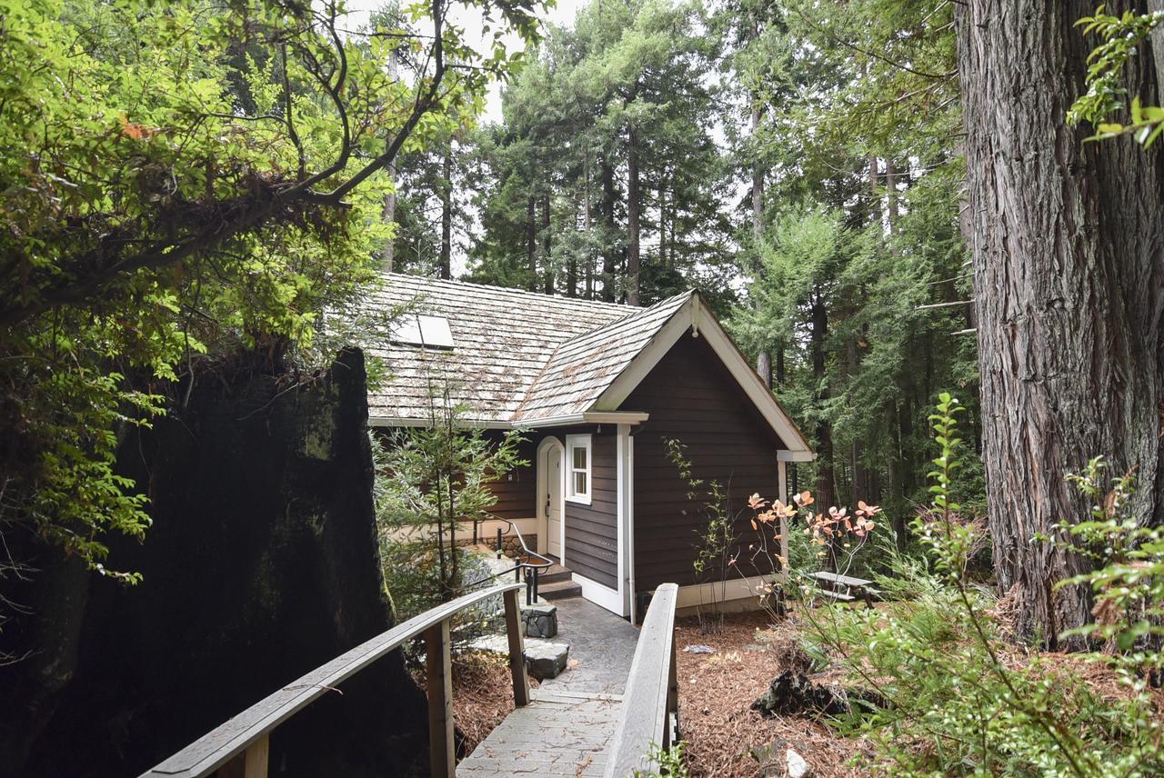 Serene Redwood Retreat Arcata Extérieur photo