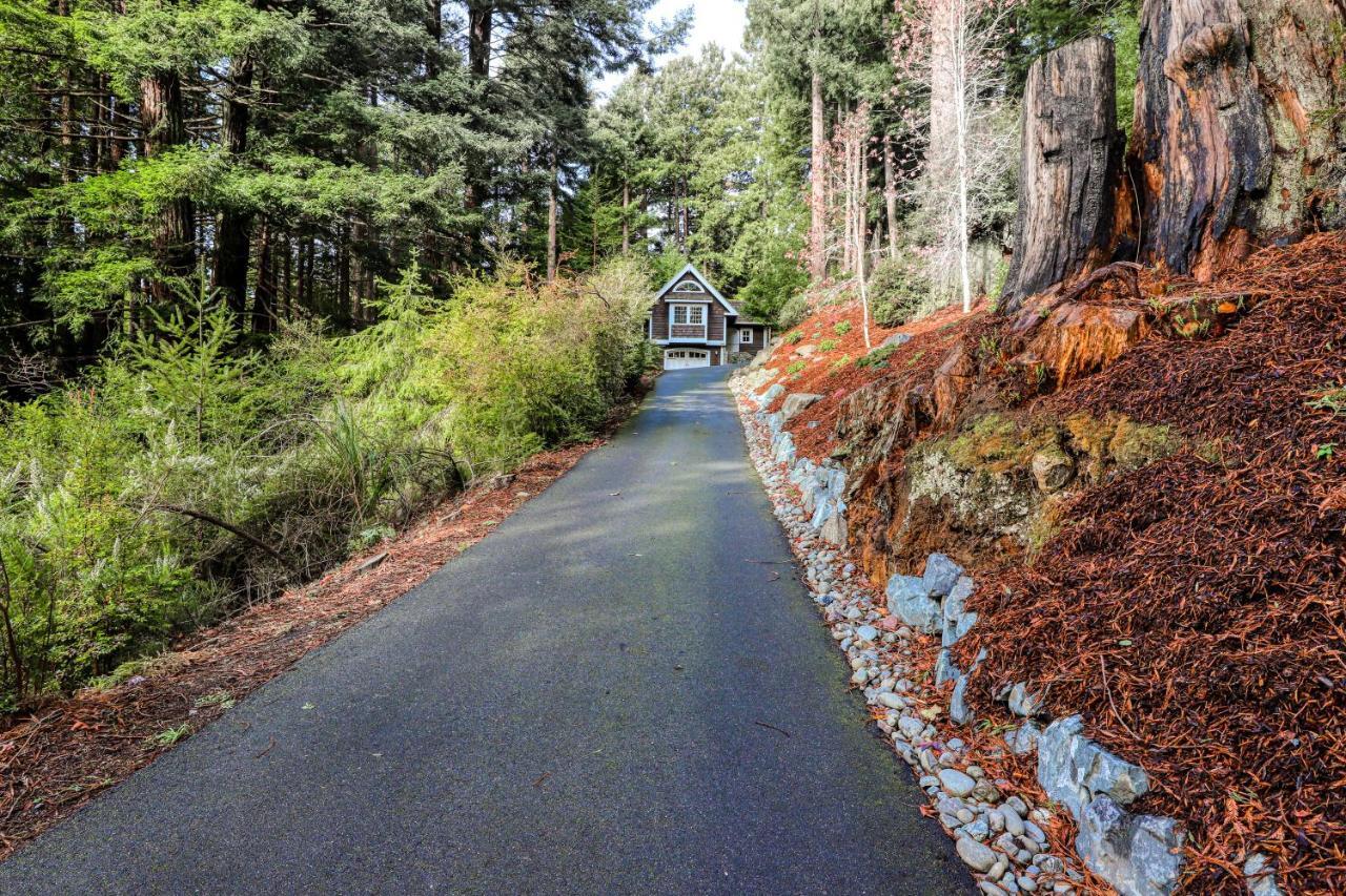 Serene Redwood Retreat Arcata Extérieur photo